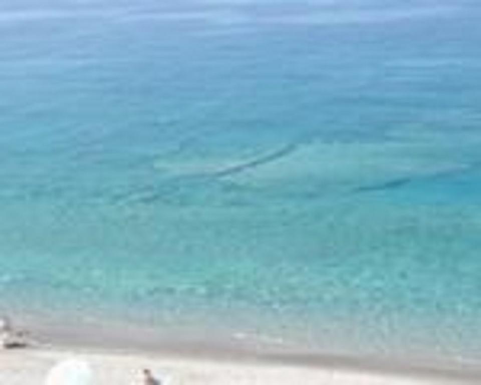 Apartamento Terrazza Sul Mare Gioiosa Marea Exterior foto